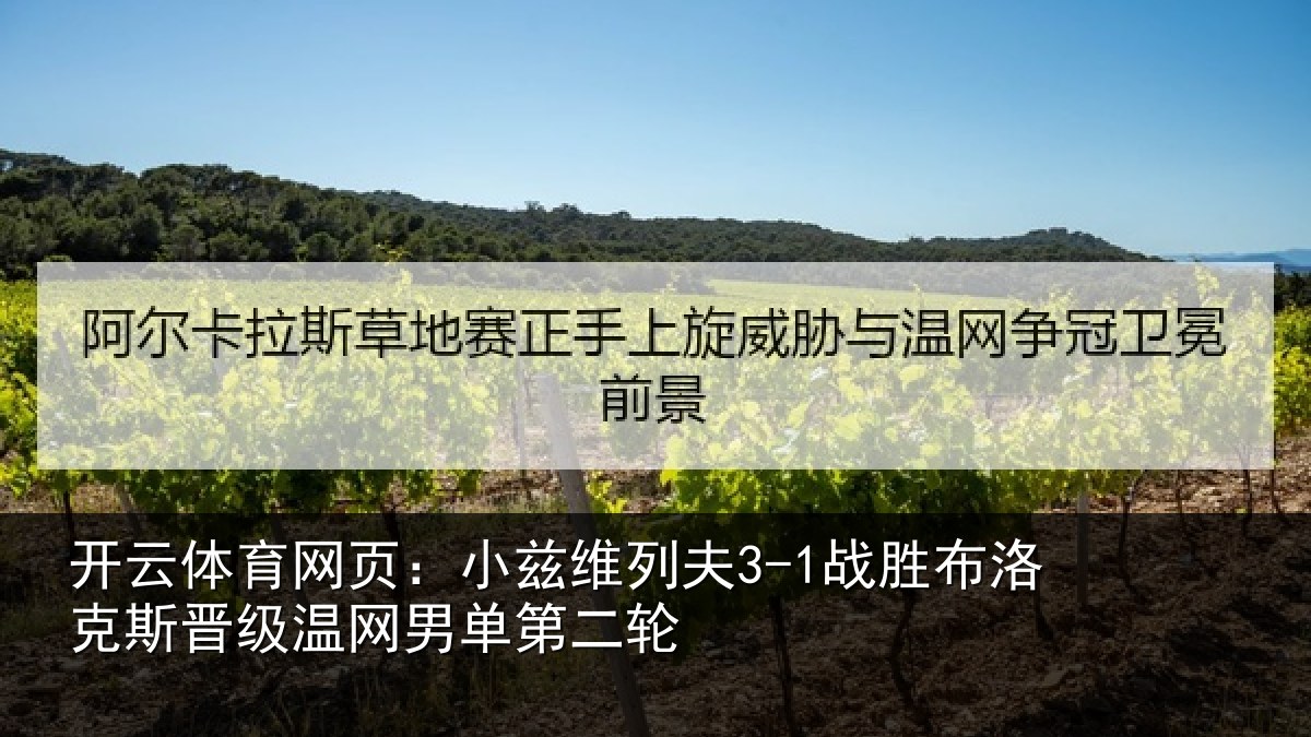 开云体育网页:小兹维列夫3-1战胜布洛克斯晋级温网男单第二轮