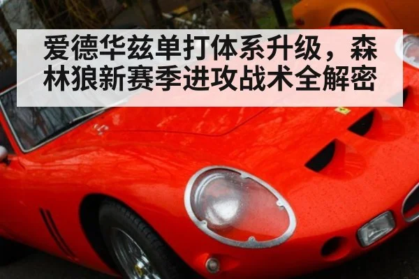 爱德华兹单打体系升级,森林狼新赛季进攻战术全解密